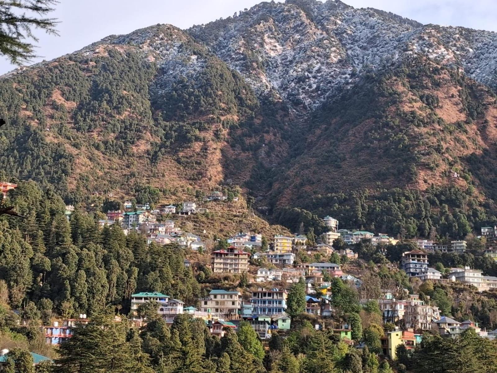 Cloudchat Dharamsala Zewnętrze zdjęcie
